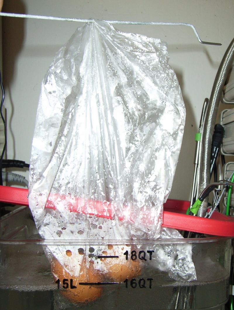 Eggs in plastic bag_900px.jpg